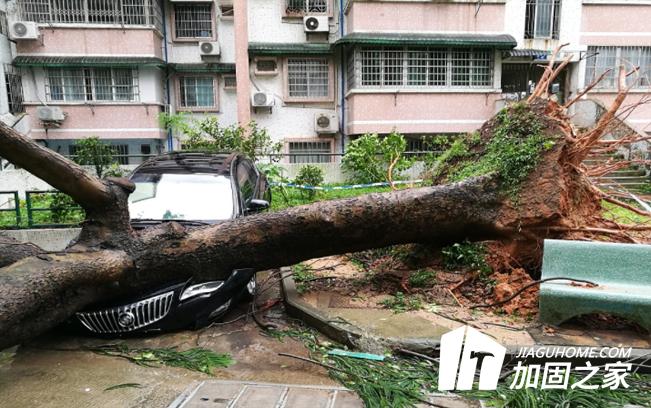 臺風(fēng)“山竹”對建筑物造成多大的影響？